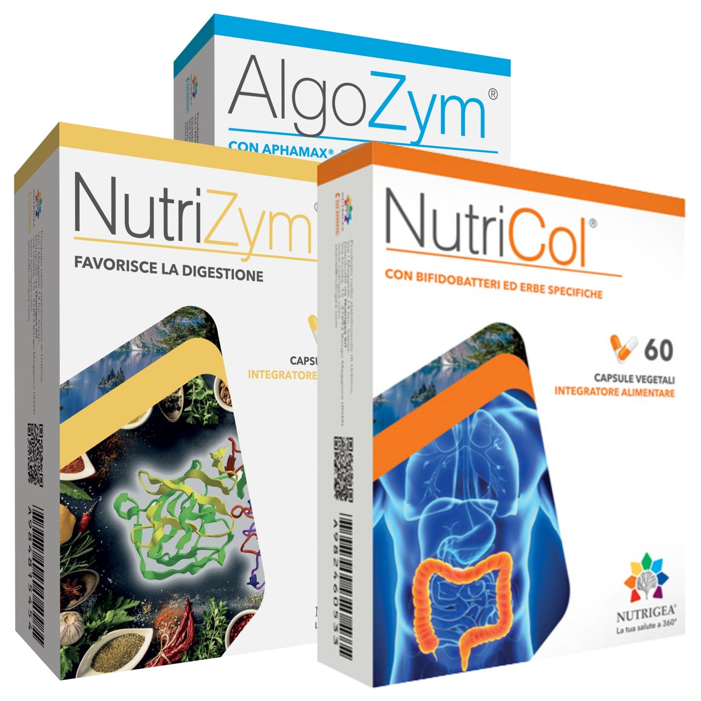 Percorso Transito Intestinale Nutrigea